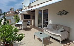 Happy Basset Terrace